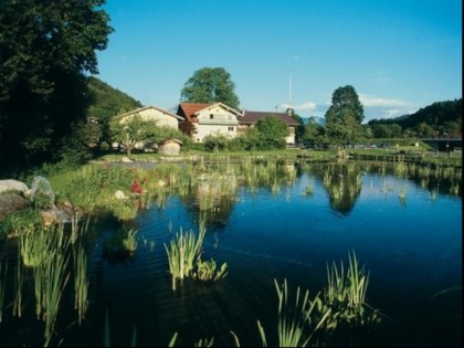 Foto: &quot;Der Hammerwirt&quot;